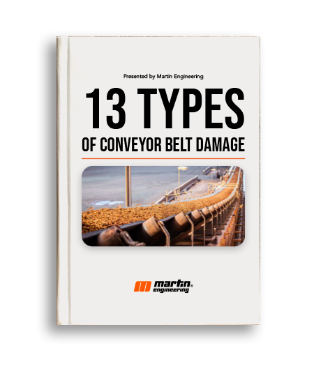 13 Types Book Cover
